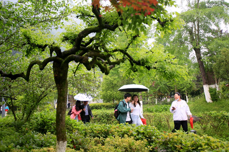 五一”樂游張家界丨張家界黃龍洞景區(qū)雨中迎來“五一”客流高峰